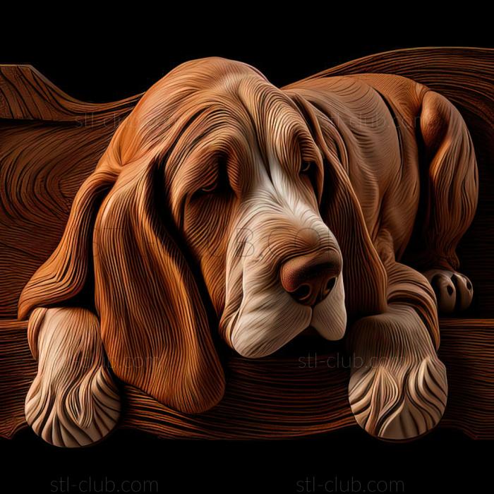 3D model st Artesian Norman Basset dog (STL)